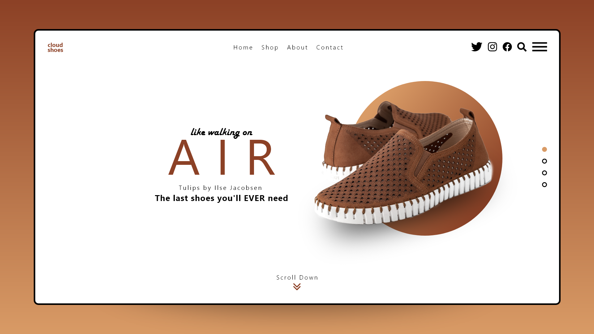 tulips homepage concept